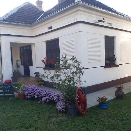 Ferienwohnung Seosko Turisticko Domacinstvo Stojkovic Aleksinac Exterior foto
