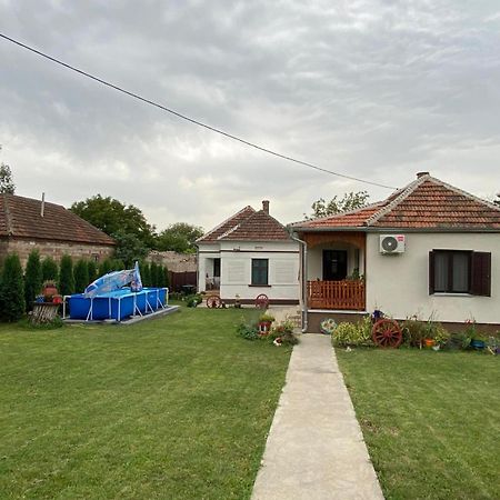 Ferienwohnung Seosko Turisticko Domacinstvo Stojkovic Aleksinac Exterior foto