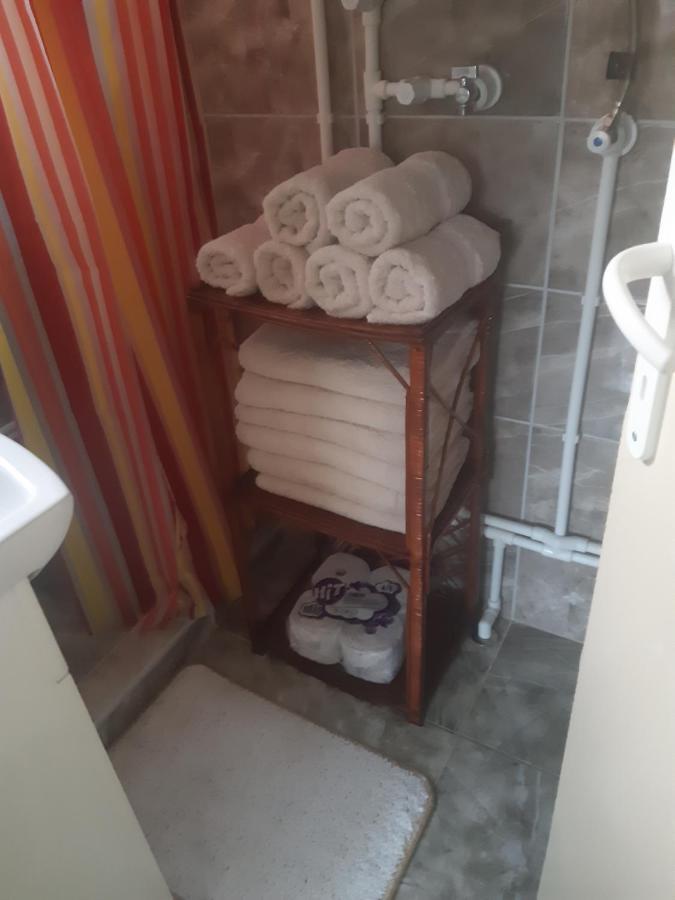 Ferienwohnung Seosko Turisticko Domacinstvo Stojkovic Aleksinac Exterior foto