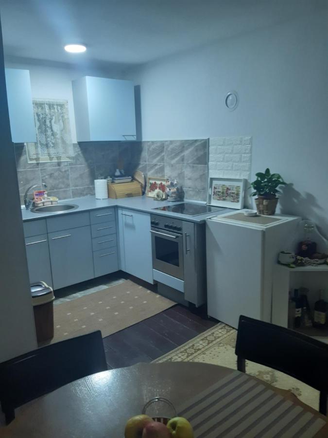 Ferienwohnung Seosko Turisticko Domacinstvo Stojkovic Aleksinac Exterior foto