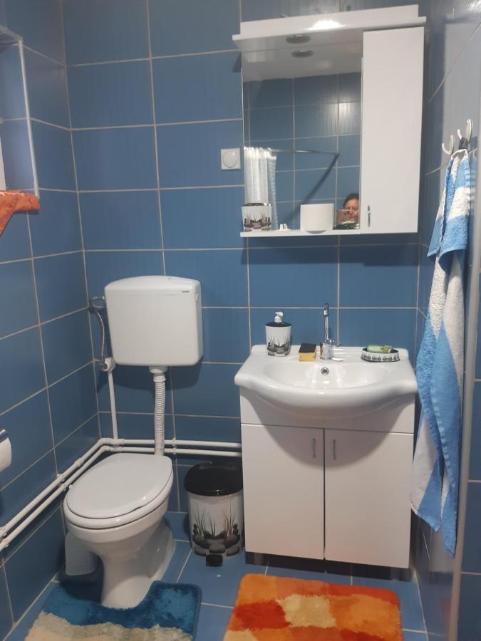 Ferienwohnung Seosko Turisticko Domacinstvo Stojkovic Aleksinac Exterior foto