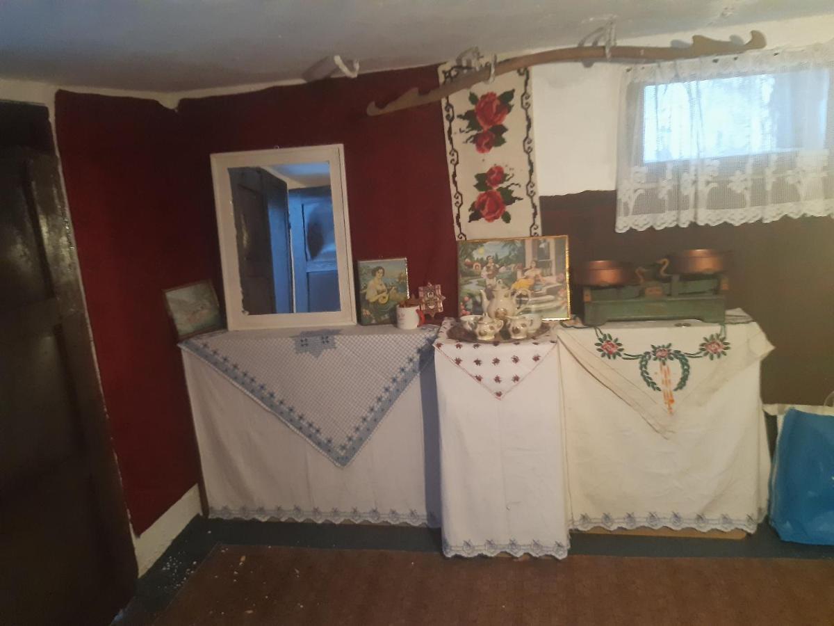 Ferienwohnung Seosko Turisticko Domacinstvo Stojkovic Aleksinac Exterior foto