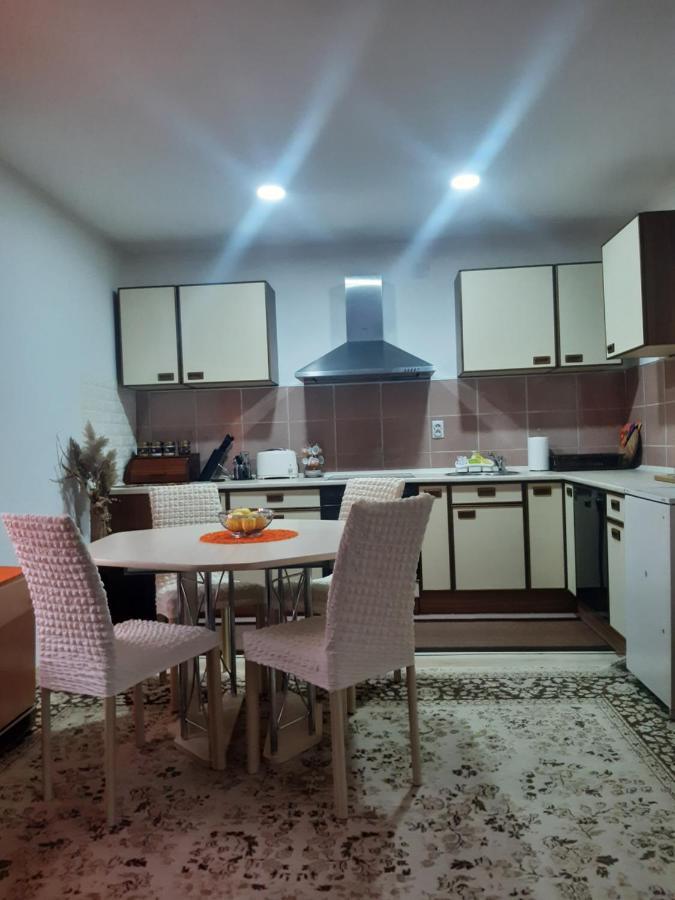 Ferienwohnung Seosko Turisticko Domacinstvo Stojkovic Aleksinac Exterior foto