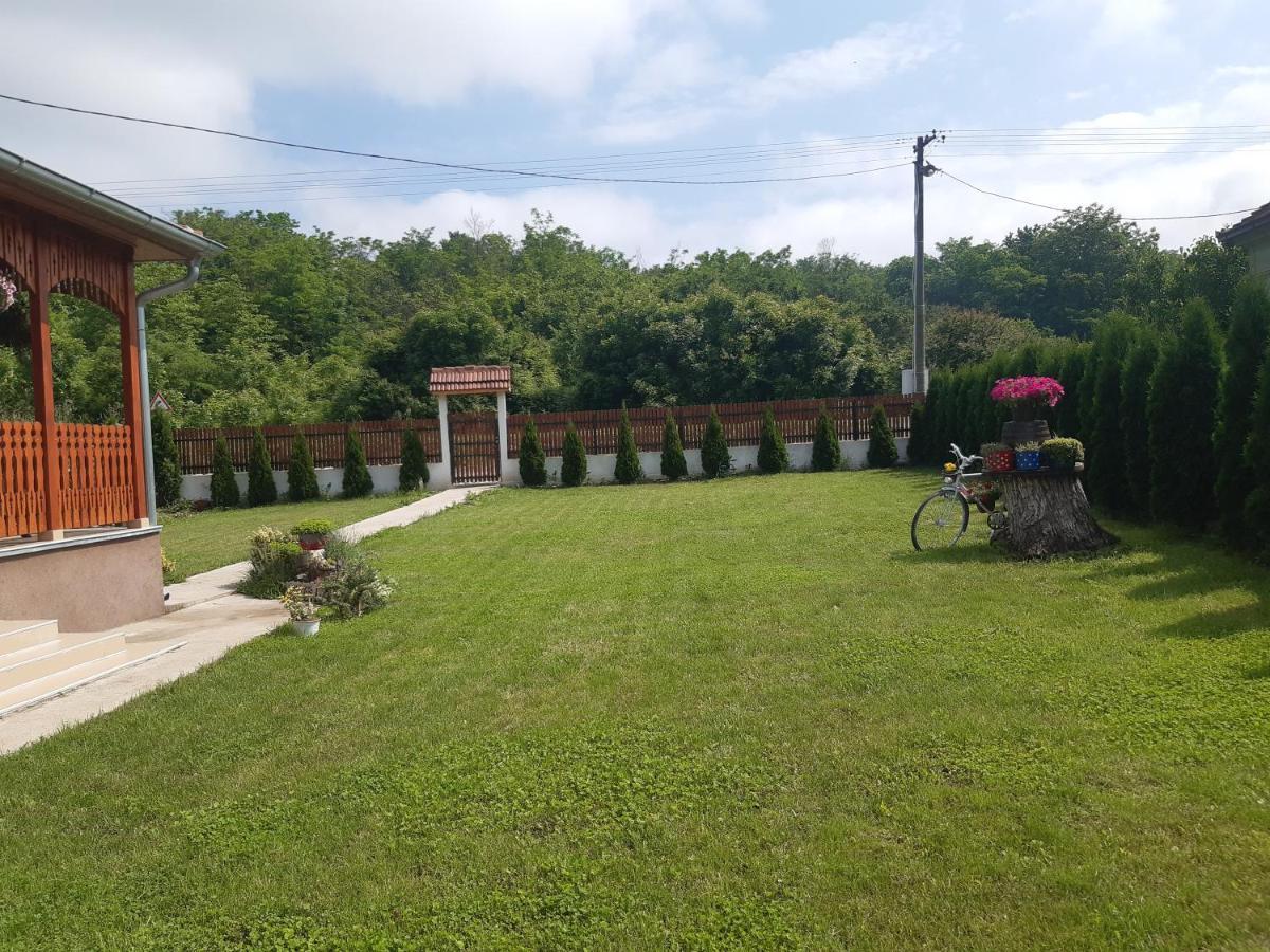 Ferienwohnung Seosko Turisticko Domacinstvo Stojkovic Aleksinac Exterior foto