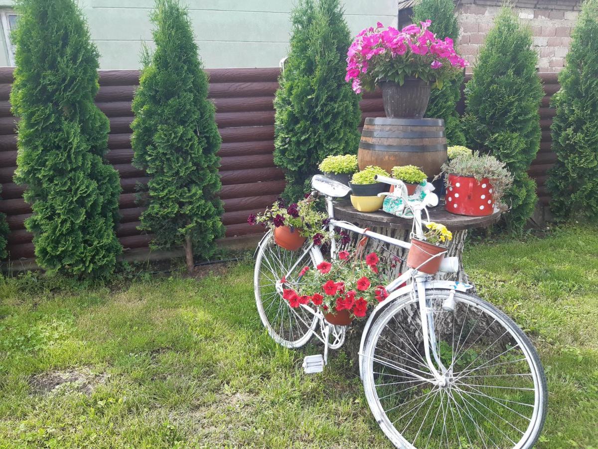 Ferienwohnung Seosko Turisticko Domacinstvo Stojkovic Aleksinac Exterior foto