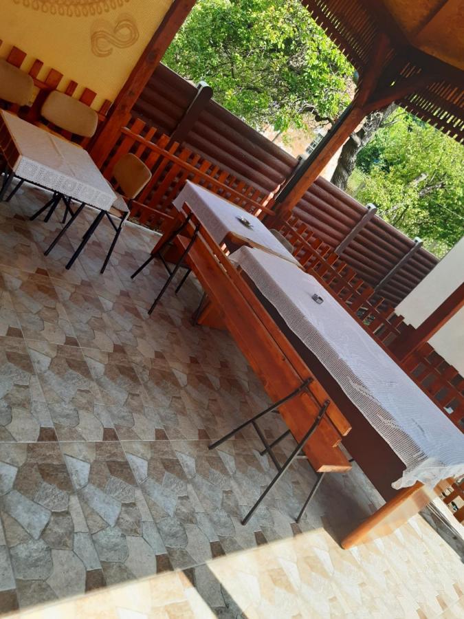 Ferienwohnung Seosko Turisticko Domacinstvo Stojkovic Aleksinac Exterior foto
